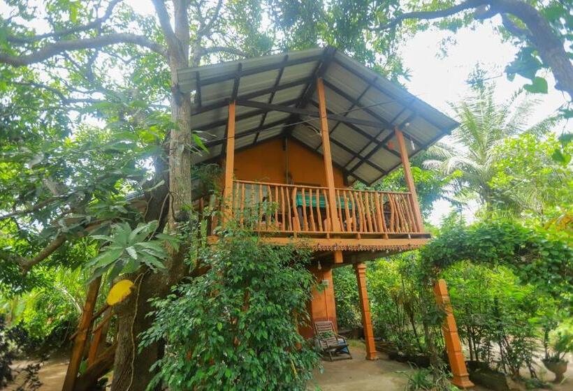 패밀리 룸, Sigiriya Pikaso Homestay