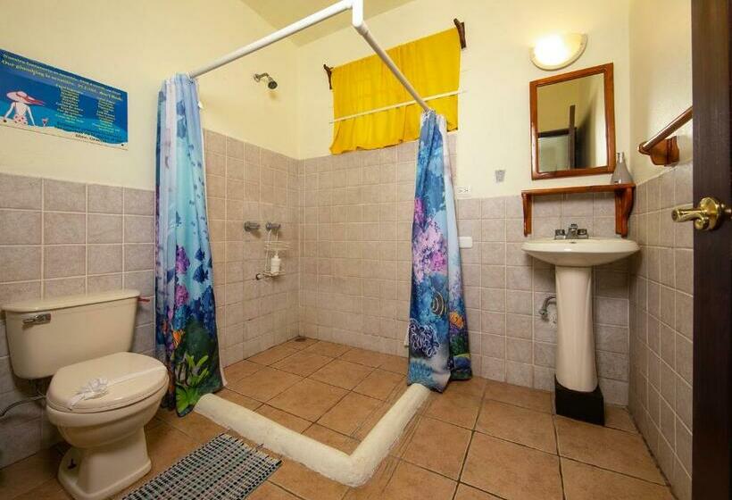 스탠다드 룸, Diversion Tropical