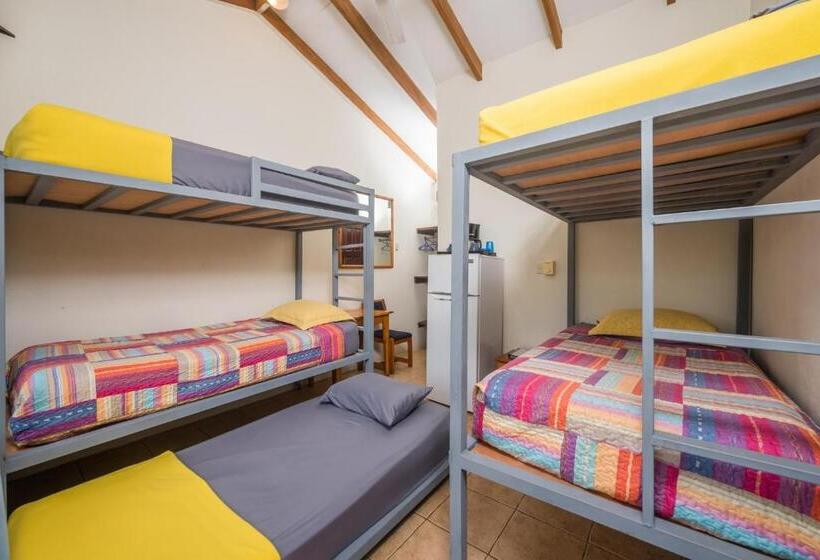 발코니가 있는 4인용 스탠다드 룸, Diversion Tropical