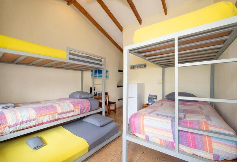 발코니가 있는 4인용 스탠다드 룸, Diversion Tropical