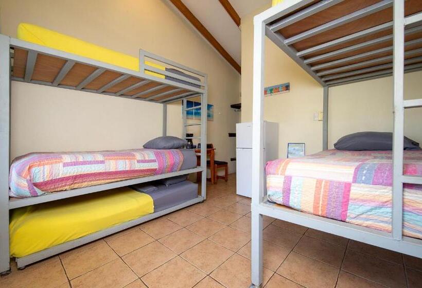 발코니가 있는 4인용 스탠다드 룸, Diversion Tropical