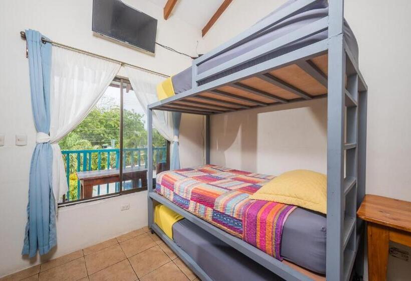 발코니가 있는 4인용 스탠다드 룸, Diversion Tropical