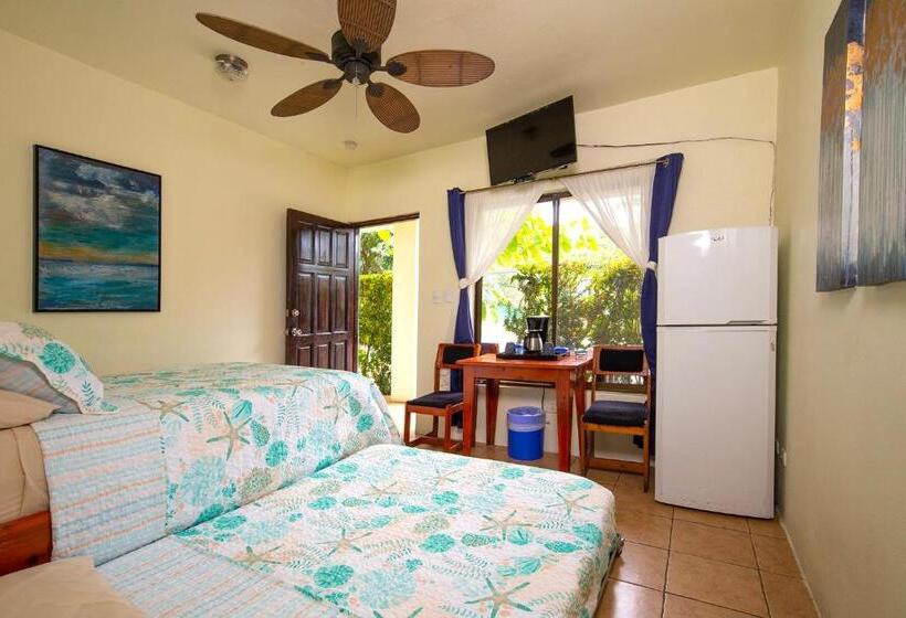 디럭스 룸, Diversion Tropical