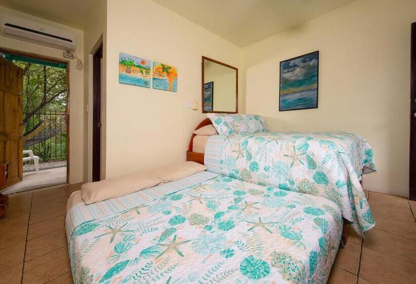 디럭스 룸, Diversion Tropical