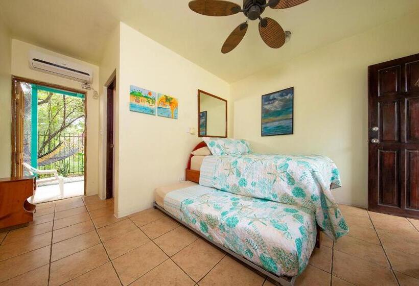 디럭스 룸, Diversion Tropical