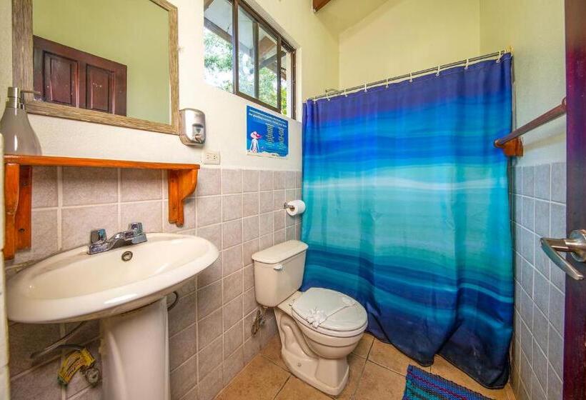 패밀리 스튜디오, Diversion Tropical