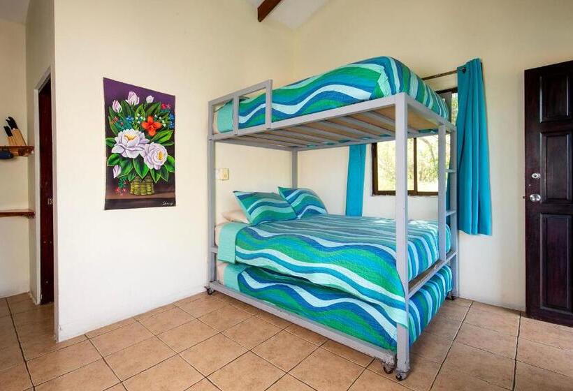 패밀리 스튜디오, Diversion Tropical