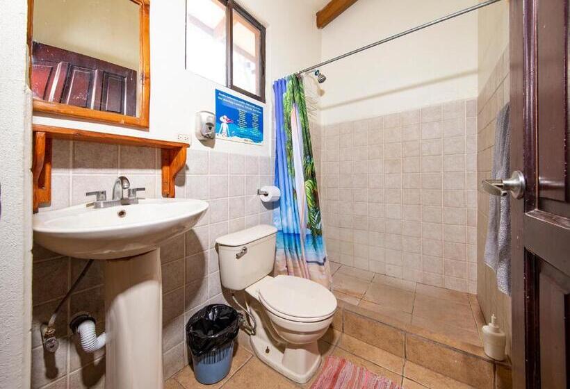 패밀리 룸, Diversion Tropical