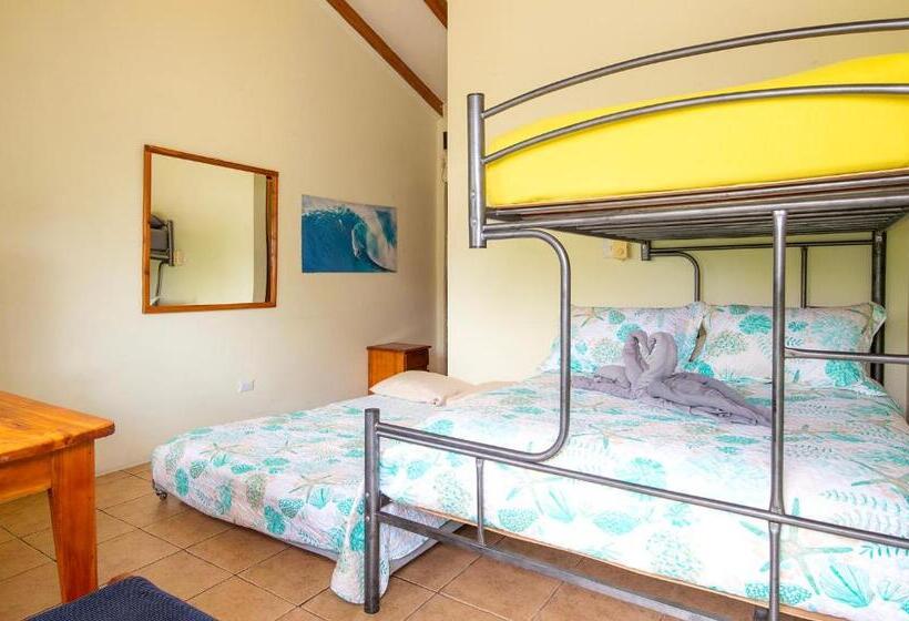 패밀리 룸, Diversion Tropical