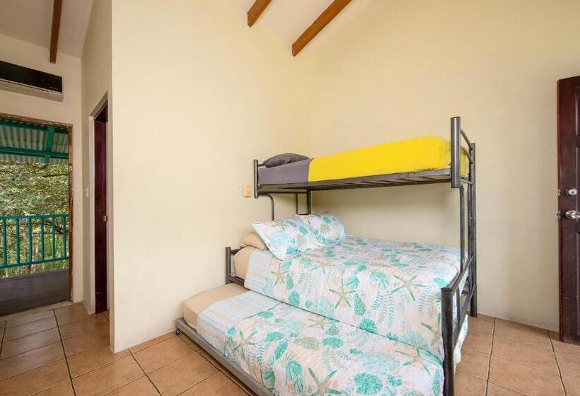 패밀리 룸, Diversion Tropical