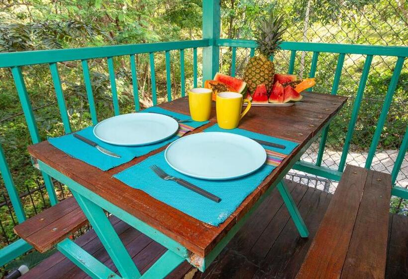 디럭스 룸, Diversion Tropical