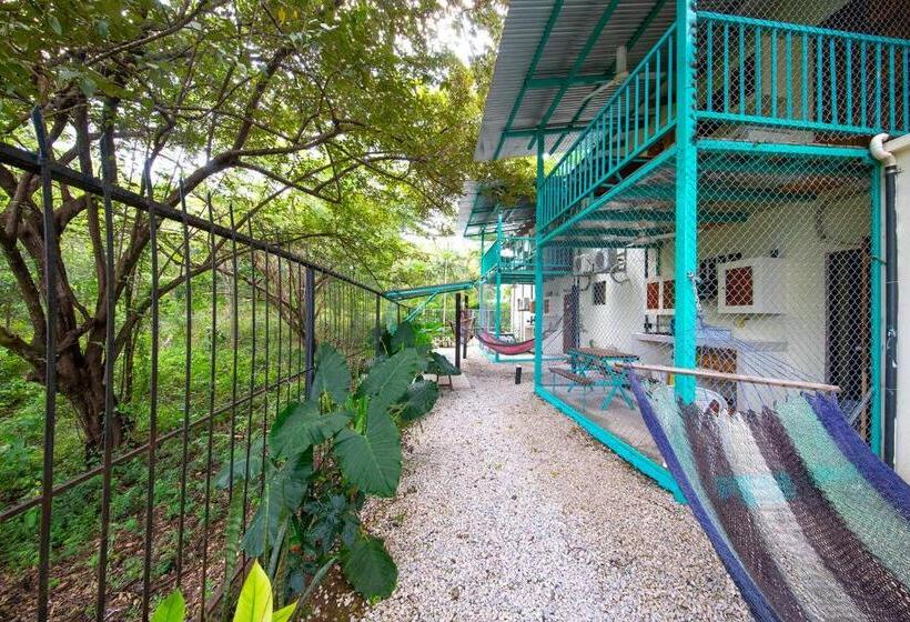 패밀리 룸, Diversion Tropical