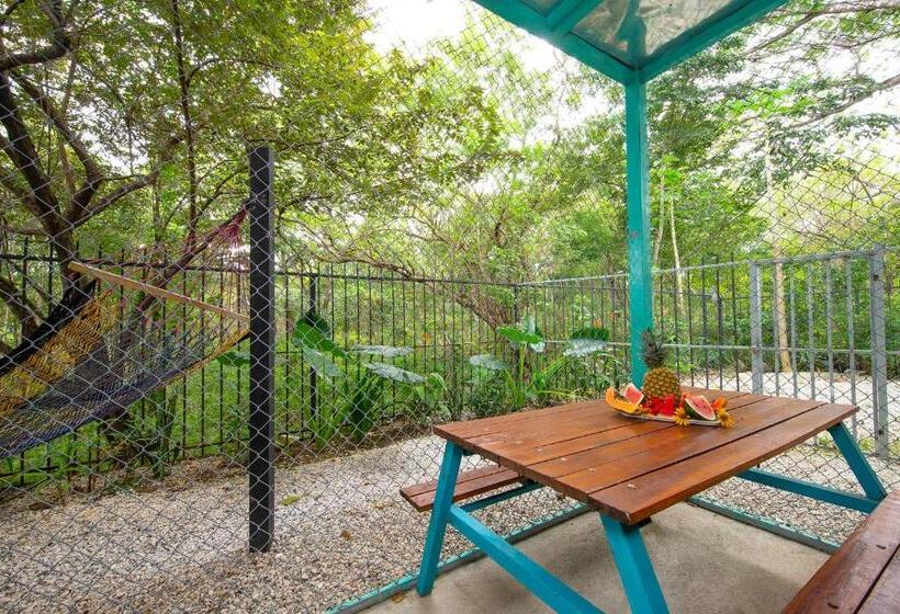 패밀리 룸, Diversion Tropical