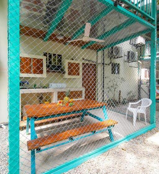 패밀리 룸, Diversion Tropical