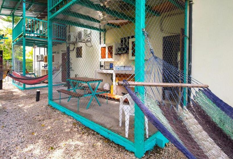 패밀리 룸, Diversion Tropical