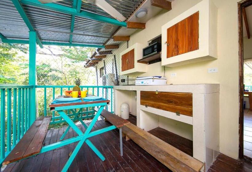 패밀리 룸, Diversion Tropical