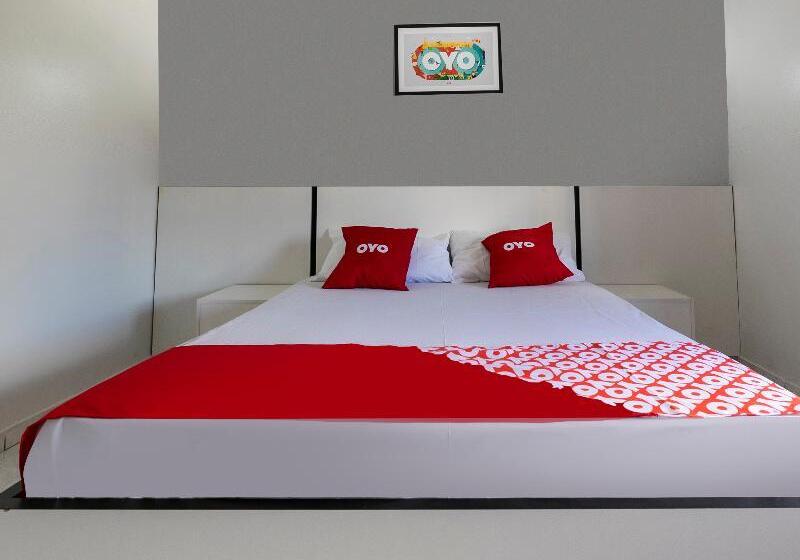 スタンダードルーム, Anchieta