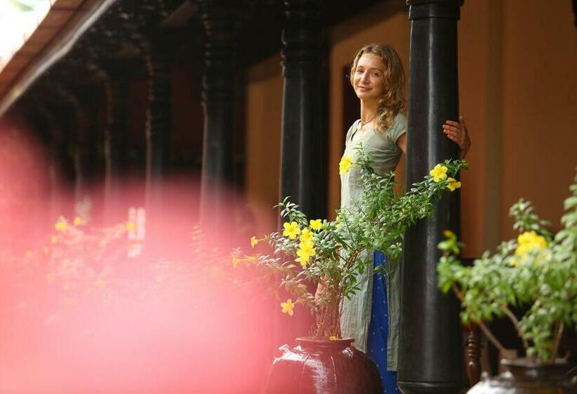 اتاق لوکس, Ginger House Museum