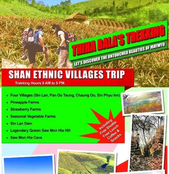 اتاق سوپریور, Thiha Bala