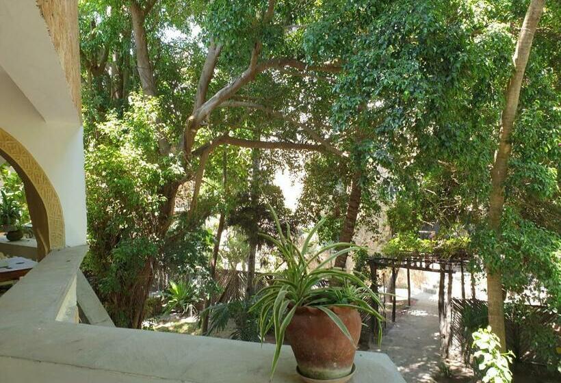 اتاق استاندارد با تخت بزرگ, Marijani Holiday Resort