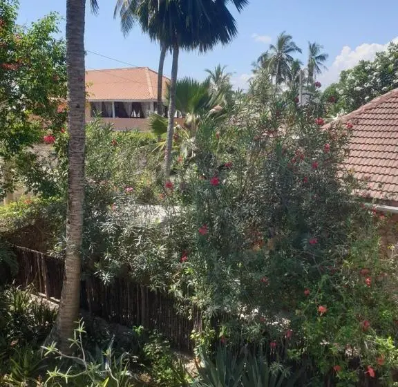 استودیوی استاندارد, Marijani Holiday Resort