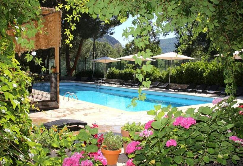 Номер Стандарт, Accendi Pipa