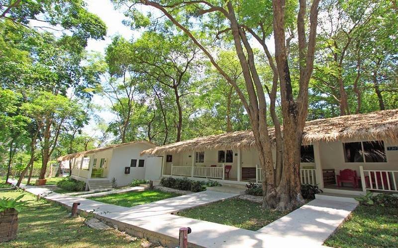 高级大房间, Alba Palace