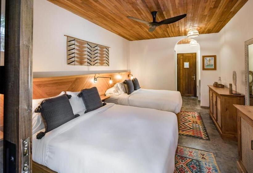 디럭스 룸, The Nomadic