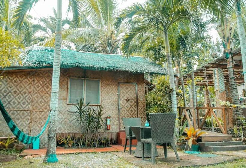 سوئیت جونیور خانوادگی, Island Tiki Paradise Resort