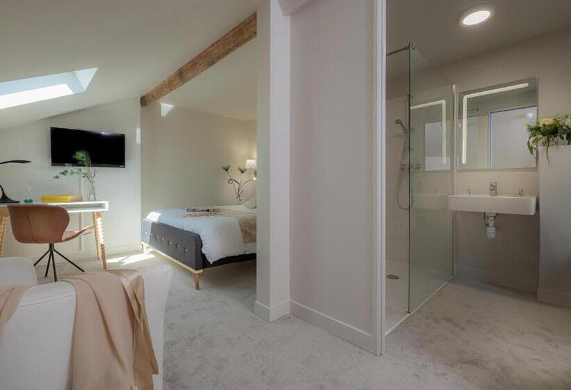 Habitació Estàndard, De Paris