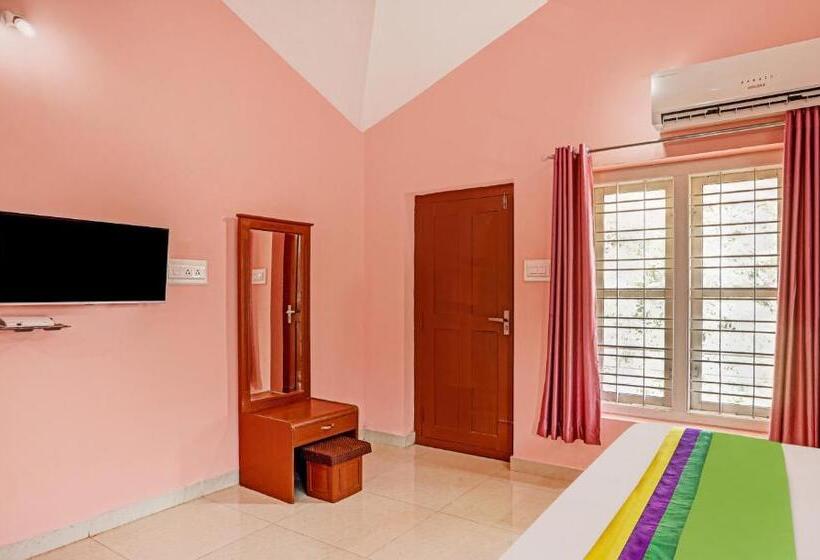 Standardrum, Treebo Yajna Comforts