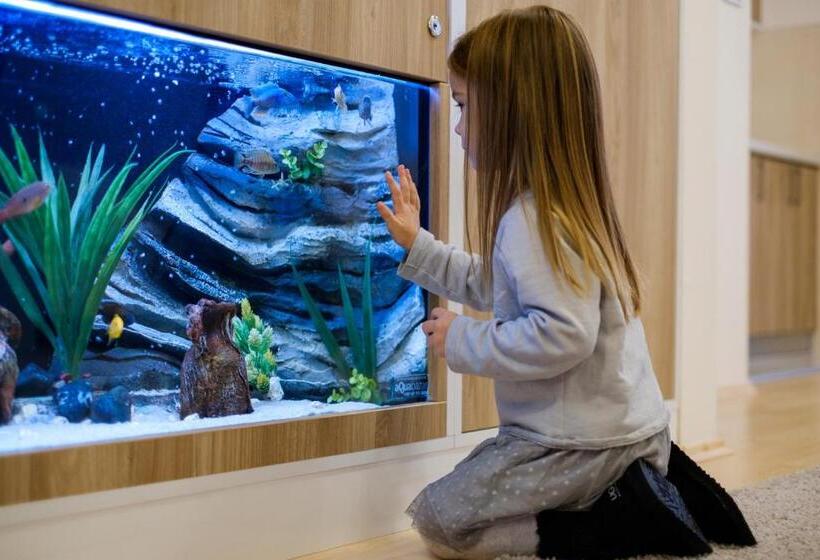 带1个卧室的高级公寓, Airport Hotel Garni