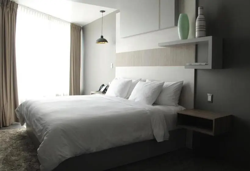 エクゼクティブスイート, Esduma Hk Hotel Pachuca