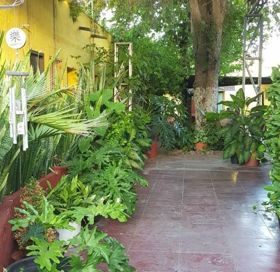 スタンダードルーム, Hacienda San Jose