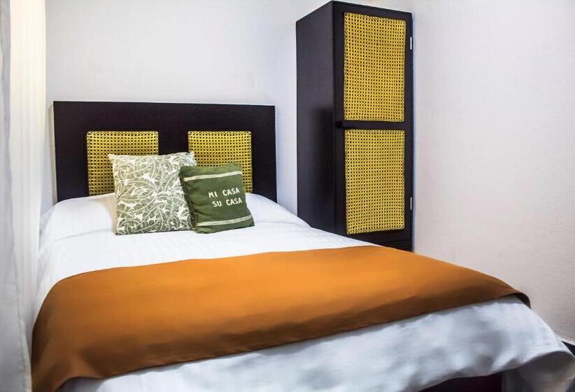 스탠다드 룸, Múcara