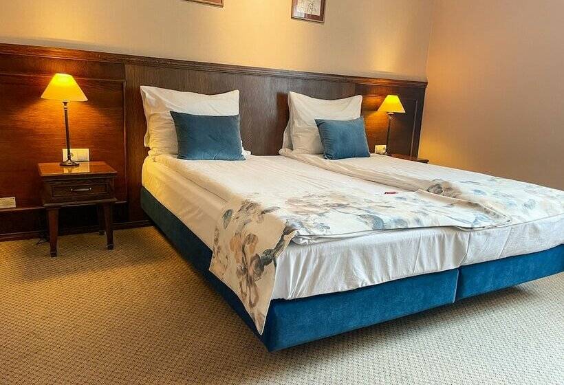 اتاق لوکس با تخت بزرگ, Park Hotel & Fitness Club Rzeszów