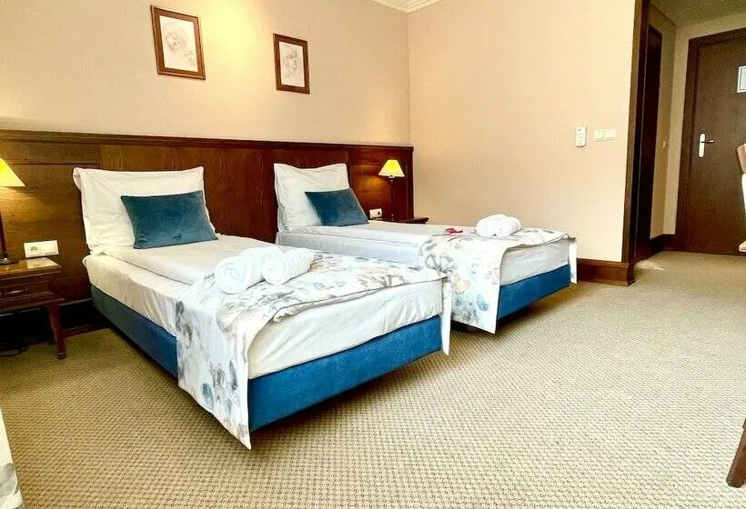 Deluxe-huone, Park Hotel & Fitness Club Rzeszów