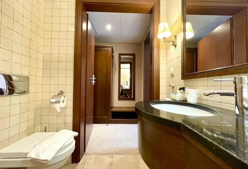 Deluxe-huone, Park Hotel & Fitness Club Rzeszów