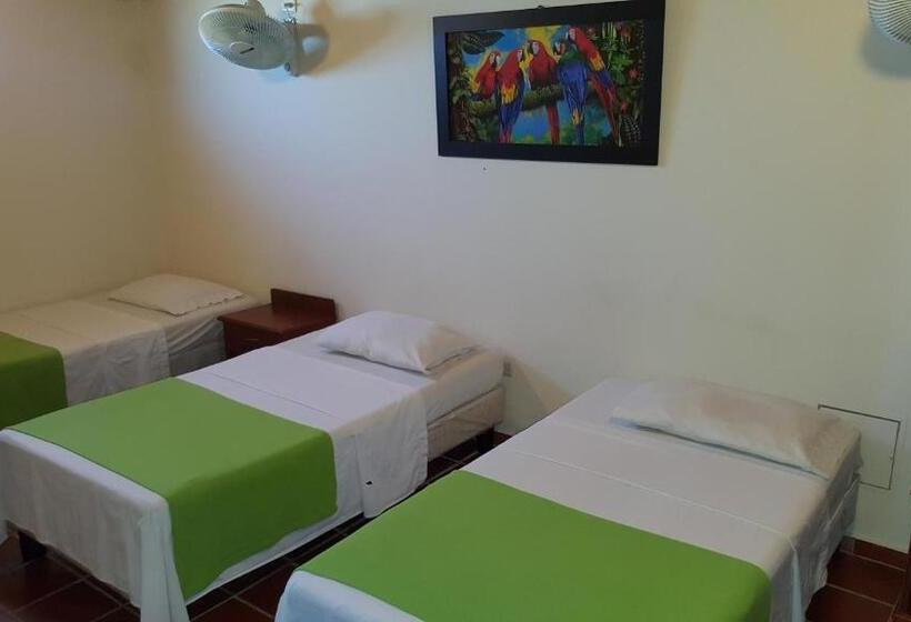 经济型三人房间, Sandiego Inc