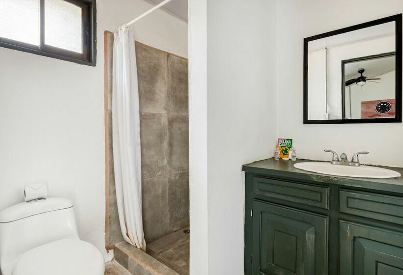 スタンダードルーム, Selina Tamarindo