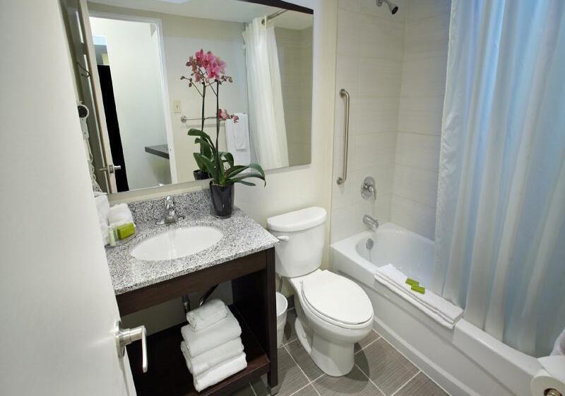 סוויטה, Mollymook Shores