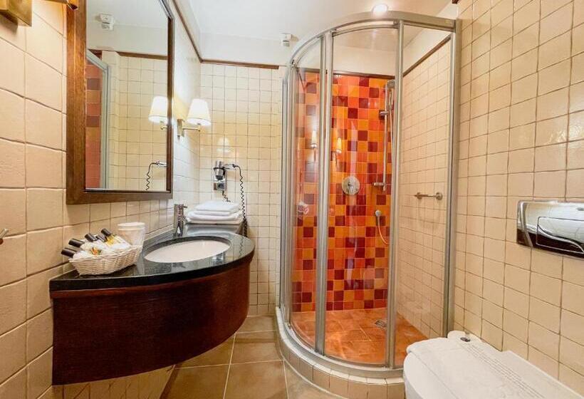 キングサイズベッドのデラックスルーム, Park Hotel & Fitness Club Rzeszów