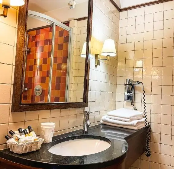 Deluxe-huone King-vuode, Park Hotel & Fitness Club Rzeszów