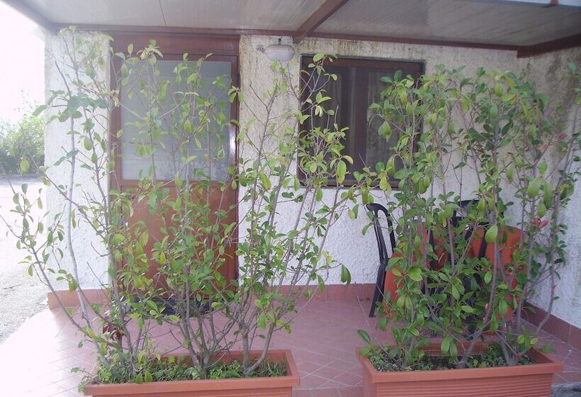 חדר סטנדרט לארבעה, Angela E Vincenzo