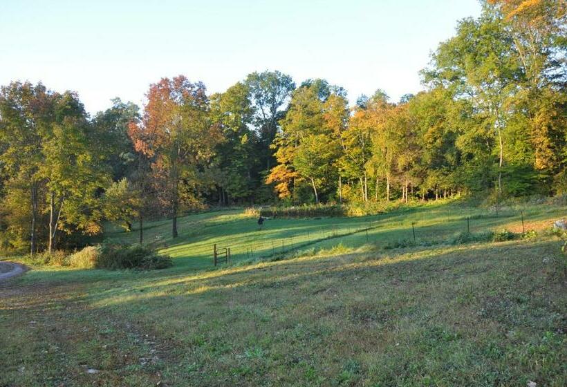 חדר סטנדרט נוף לגינה, Lodge Solange