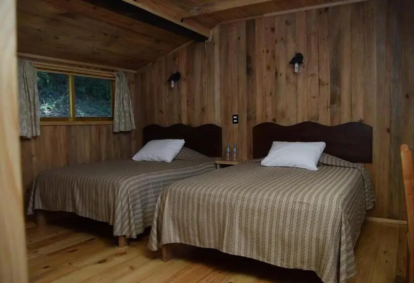 Standard-huone, Campestre Daarlu