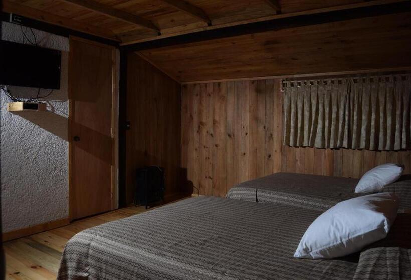 标准间, Campestre Daarlu