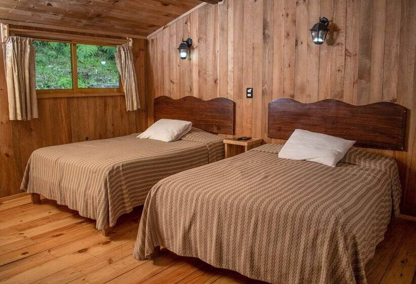 标准房带园景, Campestre Daarlu