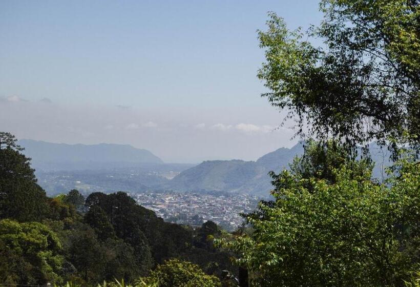 标准房带园景, Campestre Daarlu