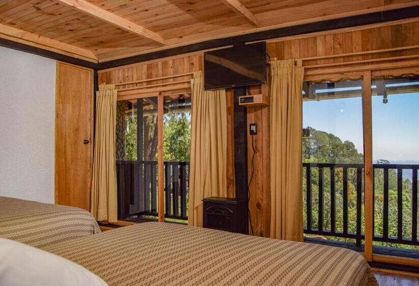 标准房带园景, Campestre Daarlu